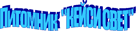 Питомник  "КЕЙСИ СВЕТ"